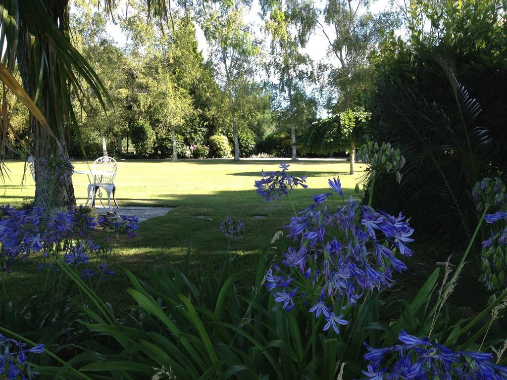 Blairgowrie House Bed & Breakfast Cambridge Dış mekan fotoğraf