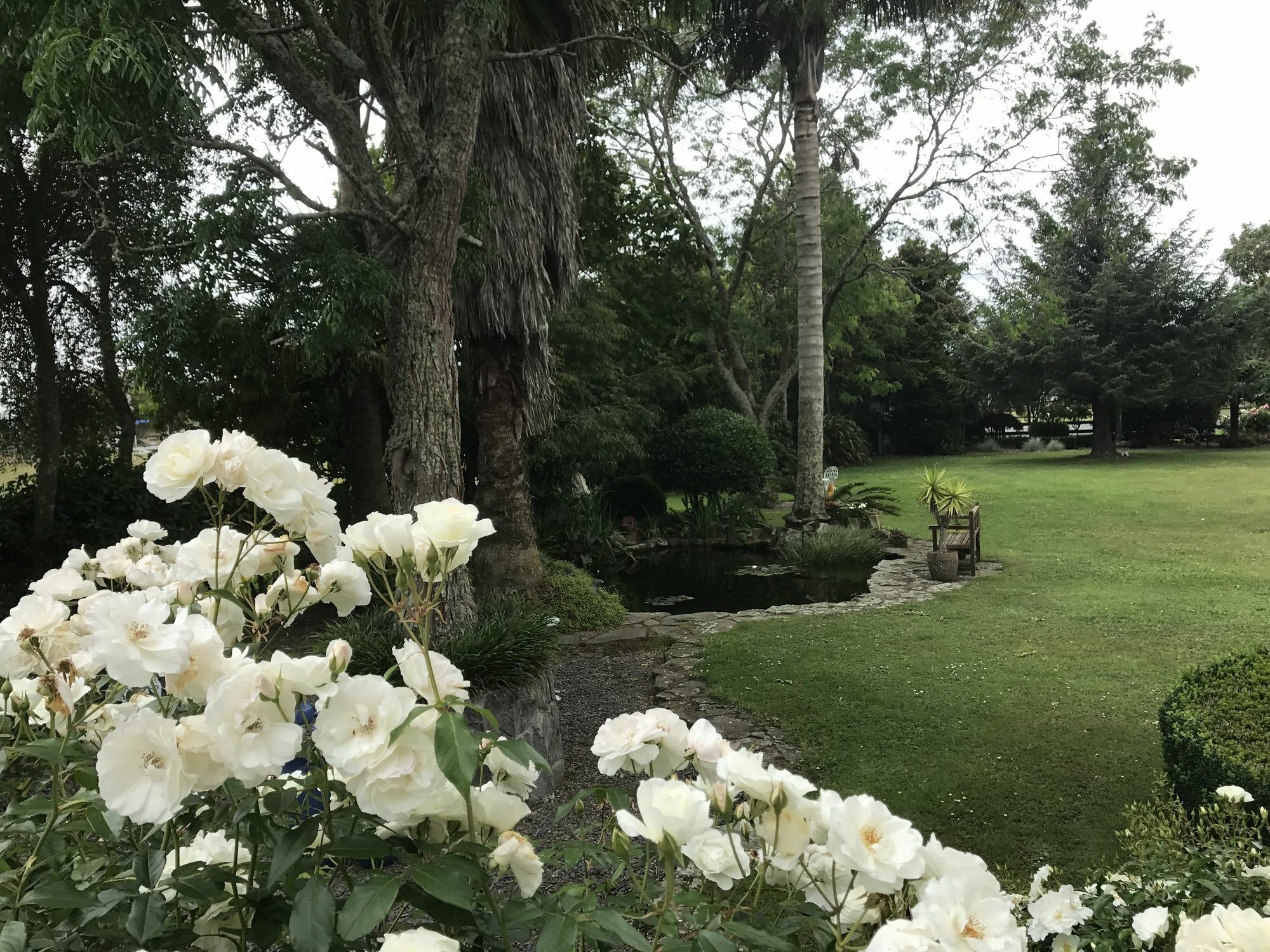Blairgowrie House Bed & Breakfast Cambridge Dış mekan fotoğraf